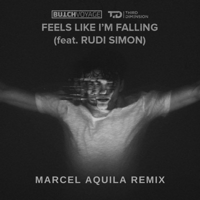 Feels Like I'm Falling (Remix) - Single