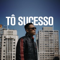 Tô Sucesso - Single - Léo Alves