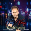 Vay Vay (feat. Behnam Hakim) - Single