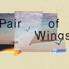 Pair of Wings (feat. Knotez & O'Sound) - Single