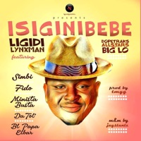 Dopetraks Allstars For Big Lo (feat. Ligidi Lynxman, Simbi, Fido, Minista Busta & Da Toli) - Single - BL Papa Elbar