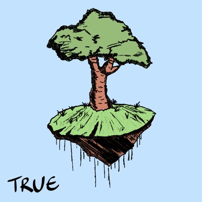 True (feat. YSO Blank) - Single