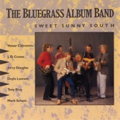 The Bluegrass Album Band - Rock Hearts