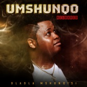 Uphetheni Esandleni (feat. Sizwe Mdlalose, Assiye Bongzin & DJ Tira) artwork