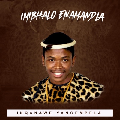 Izindaba Zomjolo (feat. Nana X DloziPhila & Sah) - Single