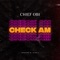 Check Am - Chief Obi lyrics