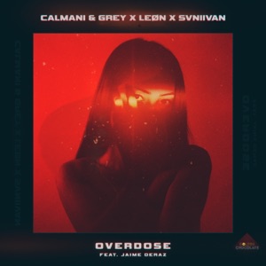 Overdose (feat. Jaime Deraz) - Single