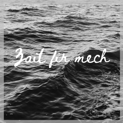 Zait Fir Mech - Single