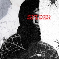 Spider - Single - Qwiss