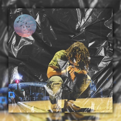 B I R D S H a v I N G F l O W N - Single