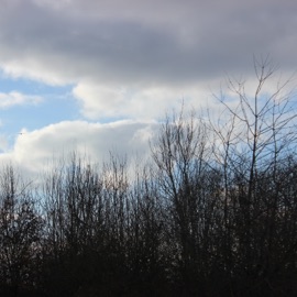 Before the Storm (feat. Khalil Yaasi & dylantheinfamous) Franklin Armstrong