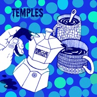 Temples (feat. Fka Mash) - Single - Tahir Jones