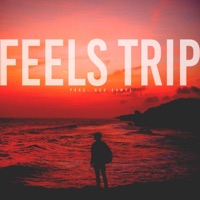 Feels Trip - Rob Camps