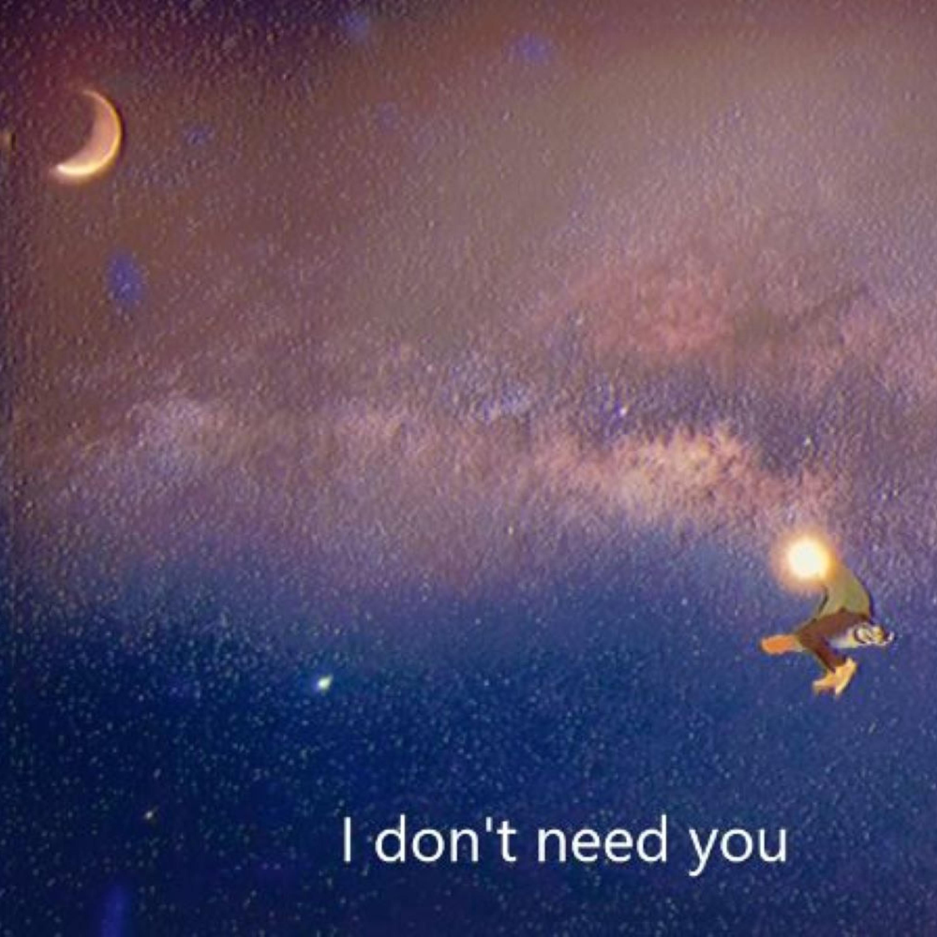 I Don't Need You - Single