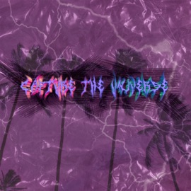 Capture the Universe 2003