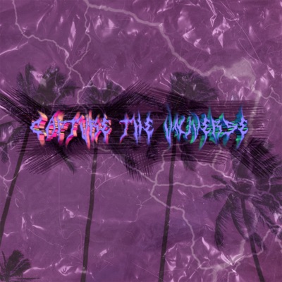 Capture the Universe - Single