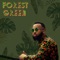 Forest Green - Jeremy Thomie lyrics