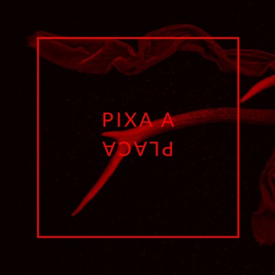 Pixa a Placa - Single