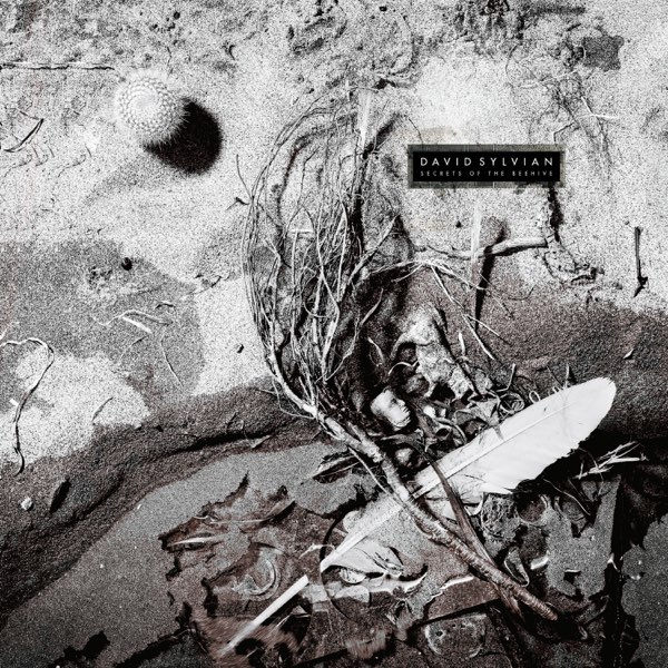 2025公式店舗 (Remastered Beehive the of Secrets 2003) David by Album - 洋楽