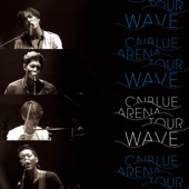 Live-2014 Arena Tour -Wave- artwork