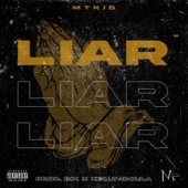 Liar artwork