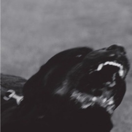 Cold Heart KILLER MANTIS