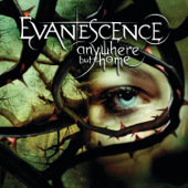 My Immortal (Live from Le Zénith, France 2004) - Evanescence Cover Art
