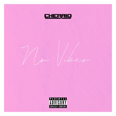 No Vibes - Single