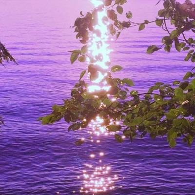 Perfect Cell (feat. Steezy Kai) - Single