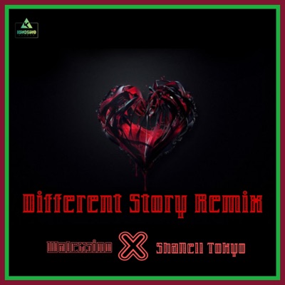Different Story (feat. ShaNell Tokyo) [Remix] - Single