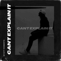 Can't Explain It - Single - Wyatt Roberts