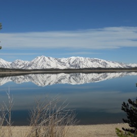 Remedy (Extended Version) Myth