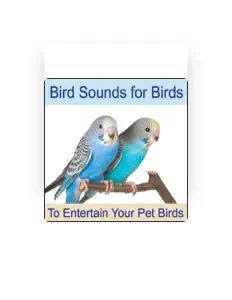 Nature Sounds Artistsを聴いたり、ミュージックビデオを鑑賞したり、経歴やツアー日程などを確認したりしましょう！