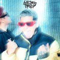 Weird Sessions (feat. Samir Velasquez) - Single - 200DB