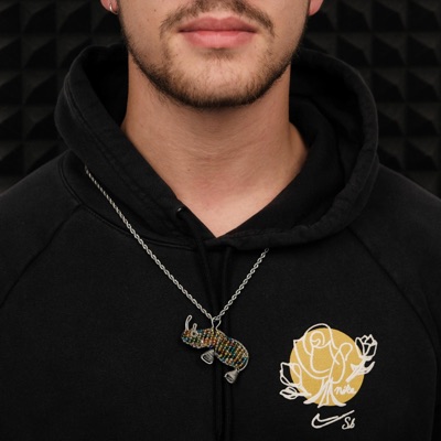 Ich bin Hans (feat. Ic4russ & Lacozy) - Single