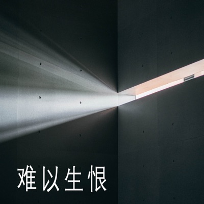 斑马森林乐队 - 再见不再见了