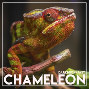 Chameleon