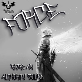Force Authority Sound & BigBean