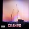 Cranes - Jabz lyrics