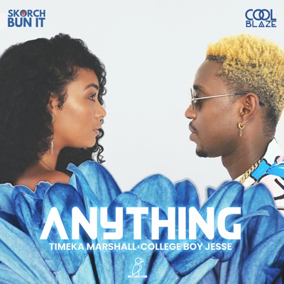 Anything (feat. College Boy Jesse) - Single