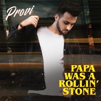 Papa Was a Rollin' Stone (VIP Extended Remix) - Single - Provi