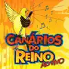 Canários do Reino - Dois Estranhos