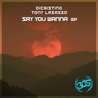 Say You Wanna EP - DiCristino & Tony Lasasso