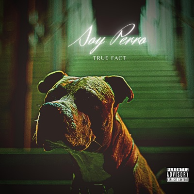 Soy Perro - Single