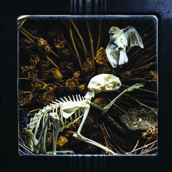 Cover artwork for Cold and Dead