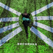 Веснянка artwork