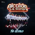 Te Amo