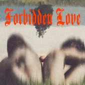 Forbidden Love artwork