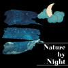 Night Nature Sounds, Frog Sounds Channel & Night Sounds Channel - Sound of Swamp Sounds  artwork