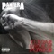 No Good (Attack the Radical) - Pantera lyrics